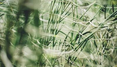 Wie man mit eigenen Händen ein Glücksbringer macht