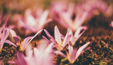 wie man mit eigenen Händen einen Glücksbringer macht